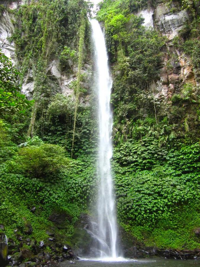 Pondok Manis Сингараджа Экстерьер фото