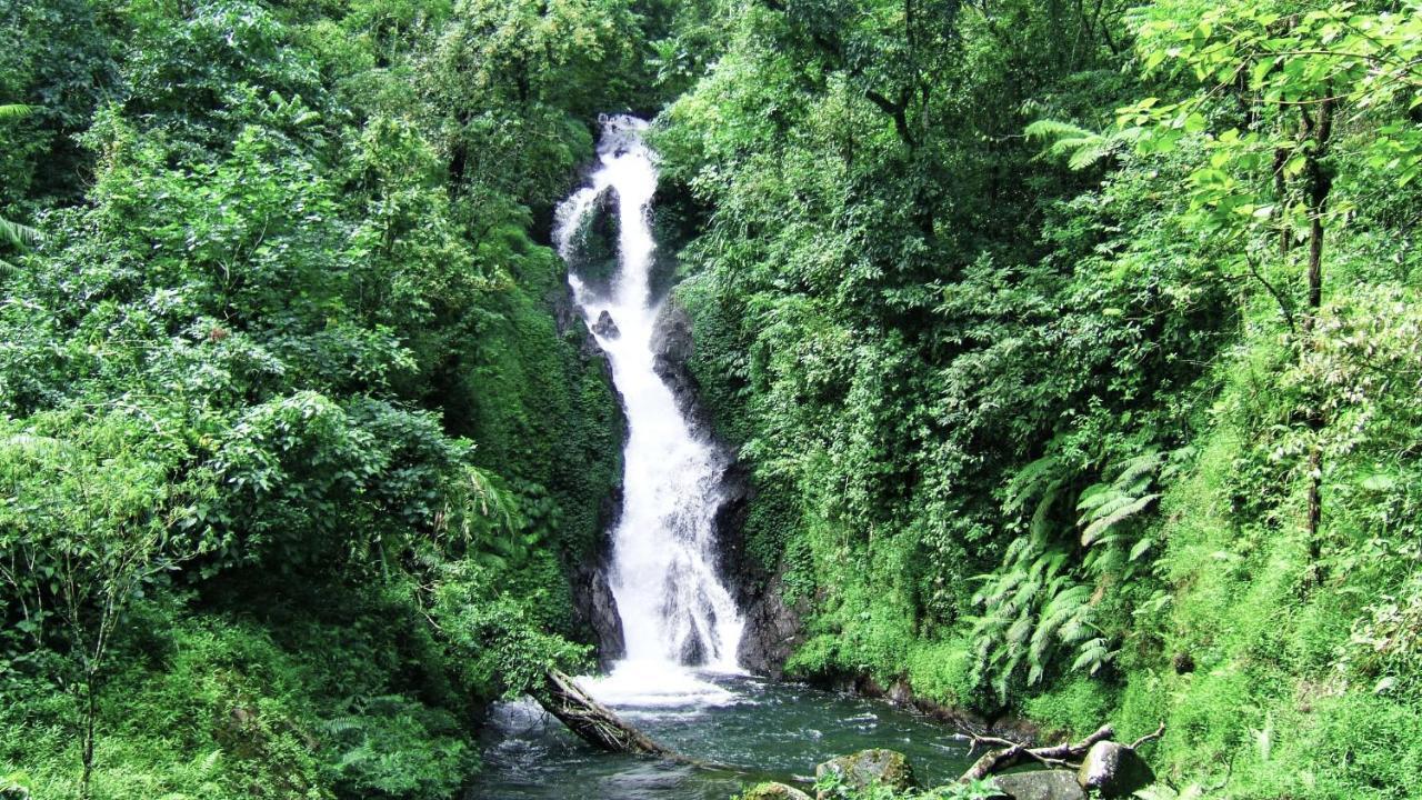 Pondok Manis Сингараджа Экстерьер фото